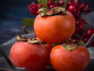 开云电竞登录入口基地展示四